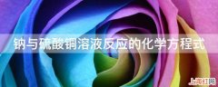 钠与硫酸铜溶液反应的化学方程式