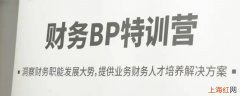 财务bp是什么意思？