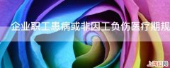 企业职工患病或非因工负伤医疗期规定