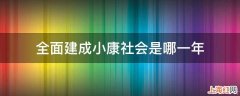 全面建成小康社会是哪一年