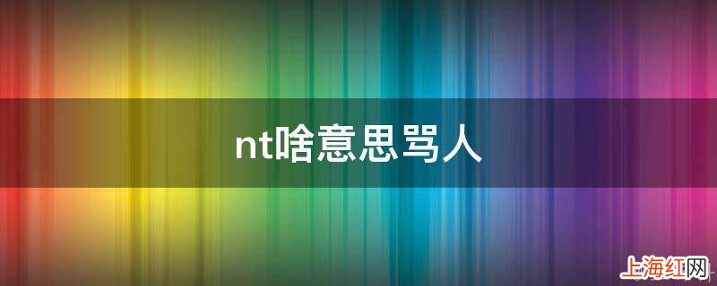 nt啥意思骂人