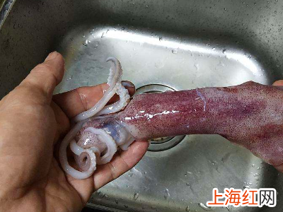 怎样泡发干鱿鱼
