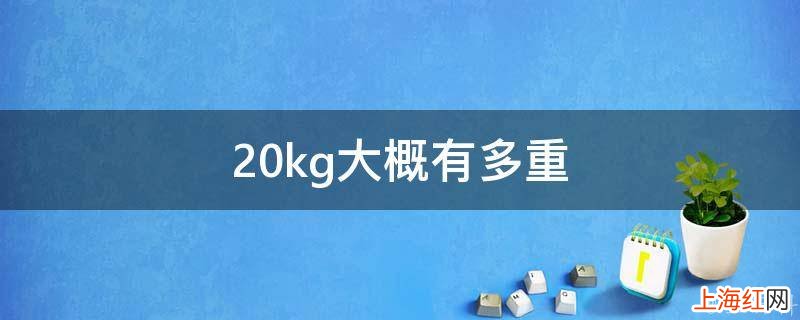 20kg大概有多重