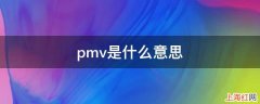 pmv是什么意思