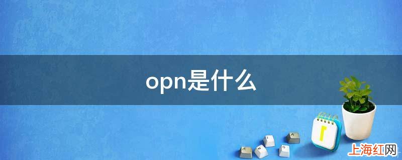 opn是什么