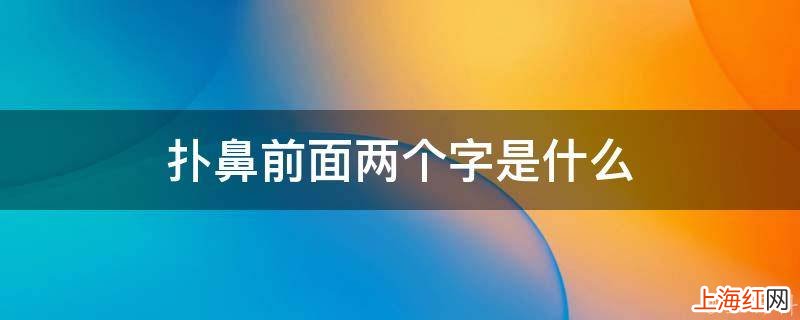 扑鼻前面两个字是什么