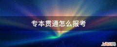 专本贯通怎么报考