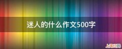 迷人的什么作文500字