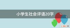 小学生社会评语20字