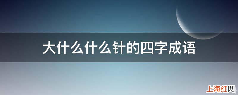 大什么什么针的四字成语