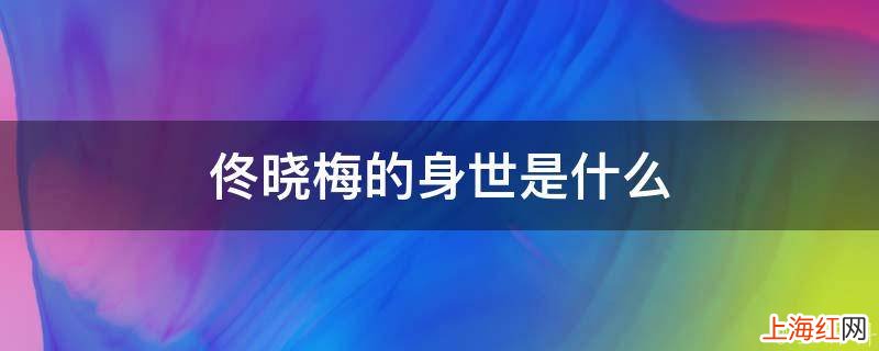 佟晓梅的身世是什么