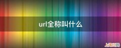 url全称叫什么