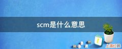 scm是什么意思