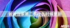 爸爸当家第二季什么时候更新