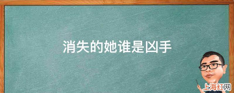 消失的她谁是凶手