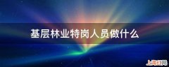 基层林业特岗人员做什么