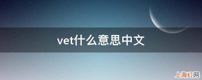 vet什么意思中文