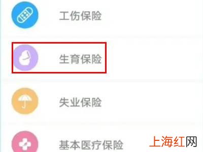 生育险怎么查
