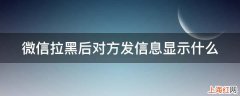 微信拉黑后对方发信息显示什么