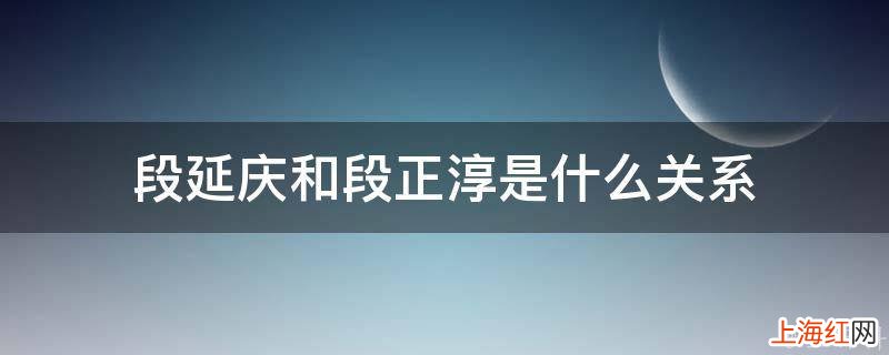 段延庆和段正淳是什么关系