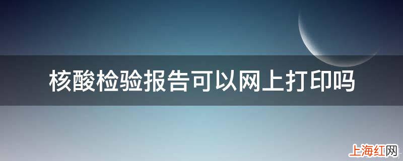 核酸检验报告可以网上打印吗