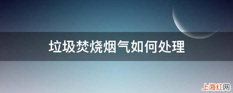 垃圾焚烧烟气如何处理