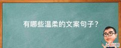 有哪些温柔的文案句子？