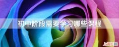 初中阶段需要学习哪些课程