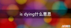 is dying什么意思