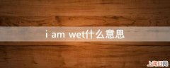 i am wet什么意思