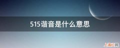 515谐音是什么意思