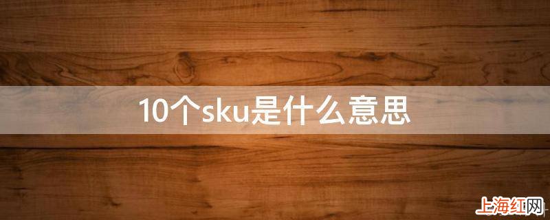 10个sku是什么意思