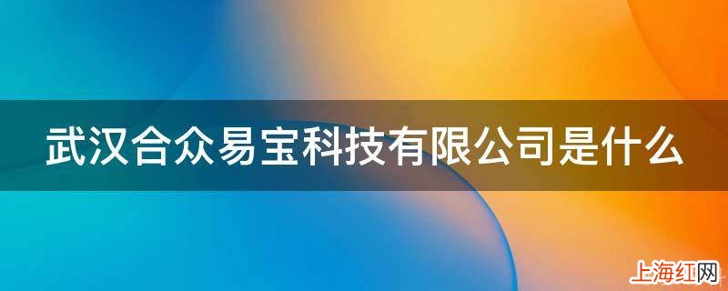 武汉合众易宝科技有限公司是什么