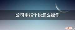 公司申报个税怎么操作