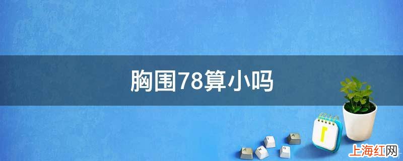 胸围78算小吗