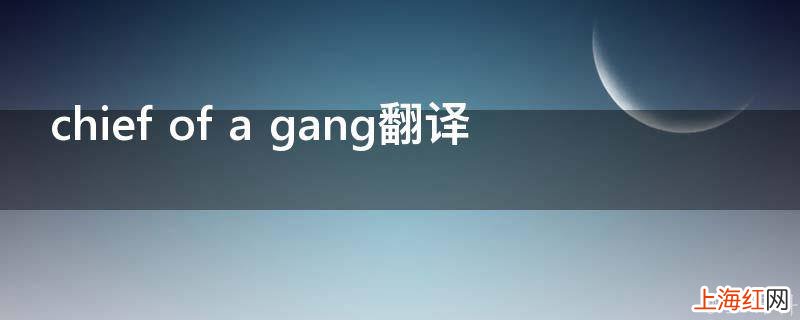 chief of a gang翻译