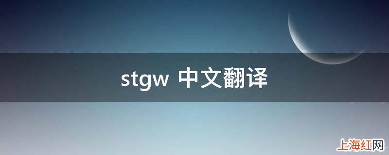 stgw 中文翻译