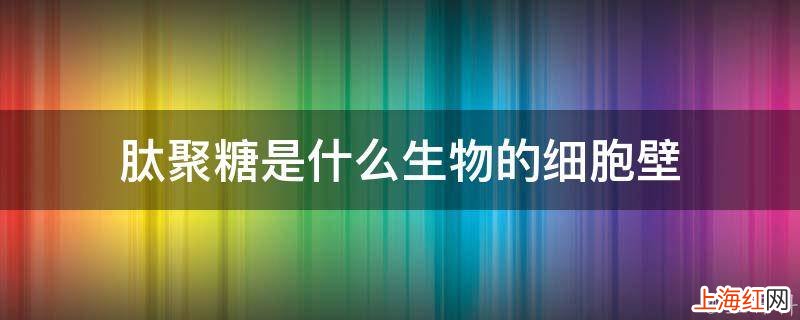 肽聚糖是什么生物的细胞壁