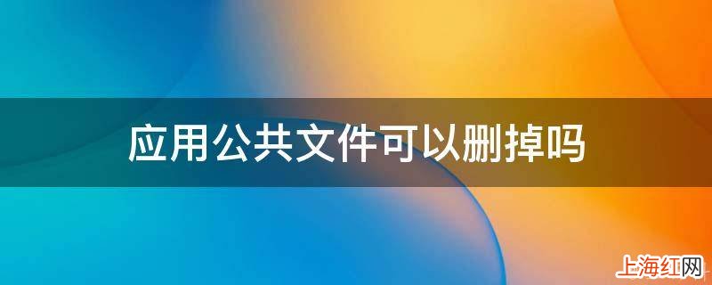 应用公共文件可以删掉吗