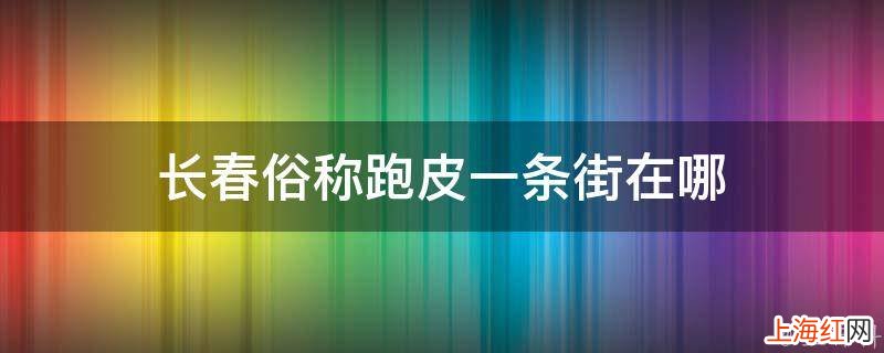 长春俗称跑皮一条街在哪