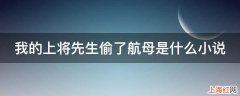 我的上将先生偷了航母是什么小说