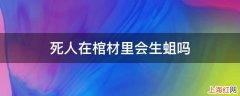 死人在棺材里会生蛆吗