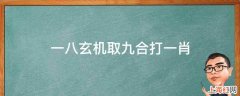 一八玄机取九合打一肖