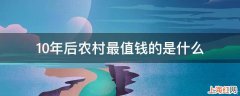 10年后农村最值钱的是什么