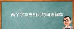 两个字意思相近的词语解释