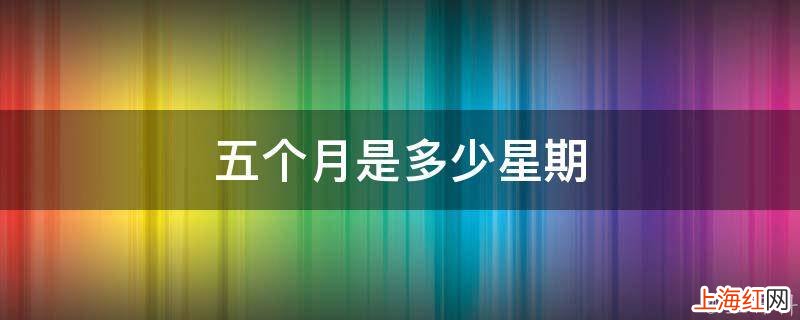 五个月是多少星期