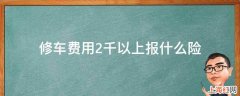 修车费用2千以上报什么险