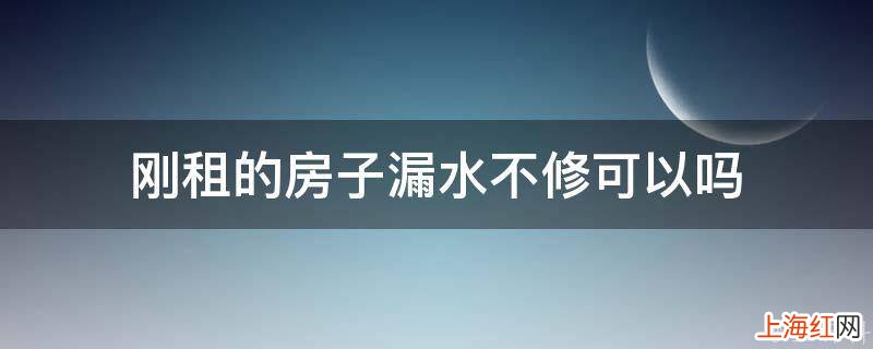 刚租的房子漏水不修可以吗