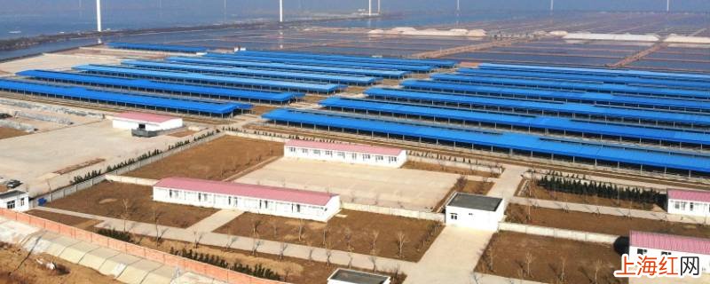 分析东营农业地域类型和形成原因