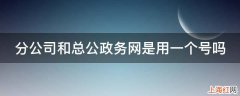 分公司和总公政务网是用一个号吗